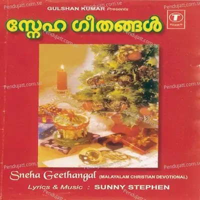 Nyan Paviyairrunnu - Thomas William album cover 