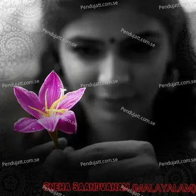 Sneha Saandvanam - Chinmayi Sripaada album cover 