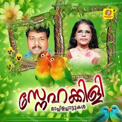 Malareyarinjo Muhabbathin Soukhyam Athupinneyenthe - Edappal Viswan album cover 