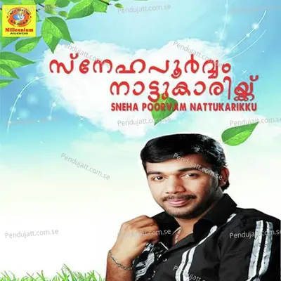 Kannil Neeyanu - Naseer album cover 