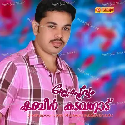 Padoo Padoo - Shabeer kadavanadu album cover 