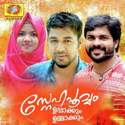 Gulfu Nattilulla - K.Bappu album cover 