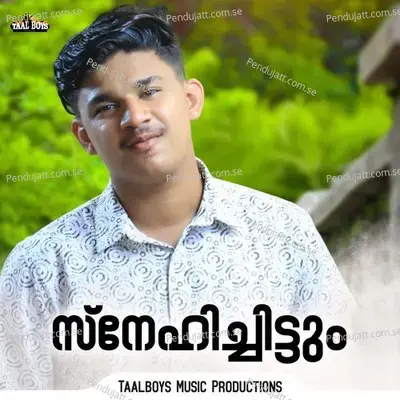 Snehichittum - Safwan Kannur album cover 