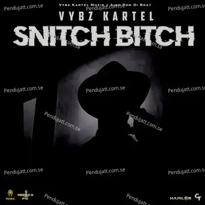 Snitch Bitch - Vybz Kartel album cover 