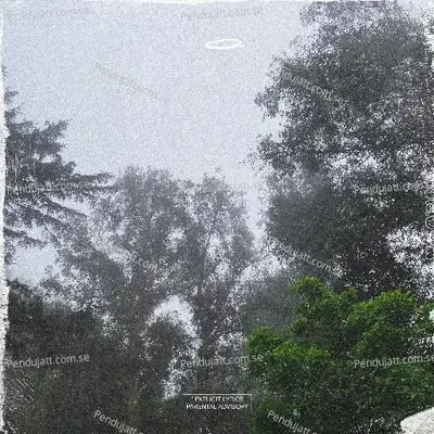 Everyones So Fake - SinceWhen album cover 
