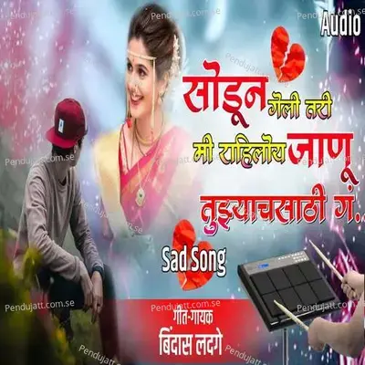 Sodun Geli Tari Me Rahiloy Janu Tuzyachsathi G - Bindas Ladge album cover 