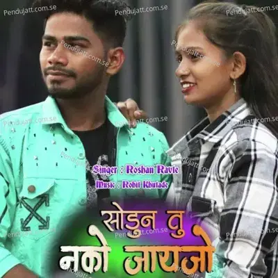 Sodun Tu Nako Jayjo - Roshan Ravte album cover 