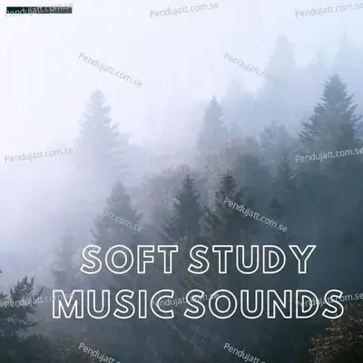 Soft Study Music Sounds - Lakhan Hire album cover 