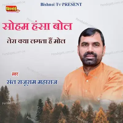 Soham Hansa Bol Tera Kya Lagta Hai Mol - Sant Rajuram Maharaj album cover 