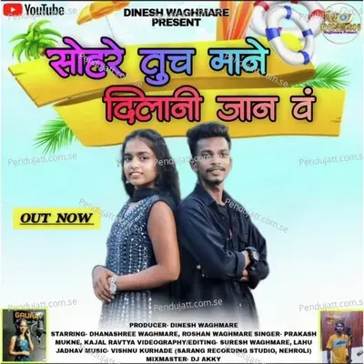 Sohre Tuch Mane Dilani Jan V - Prakash Mukne album cover 