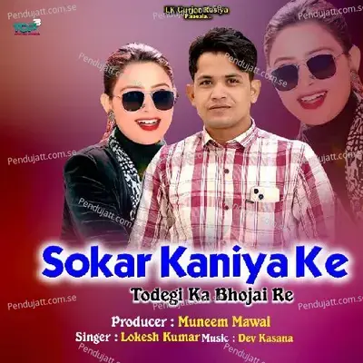 Sokar Kaniya Ke Todegi Ka Bhojai Re - Lokesh Kumar album cover 