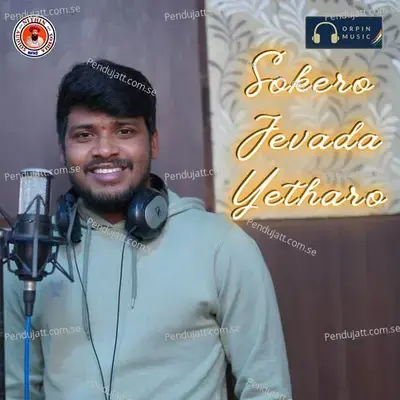 Sokero Jevada Yetharo - Vadthya Balakrishna album cover 