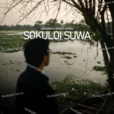 Sokuloi Suwa - Debabrata Gogoi album cover 