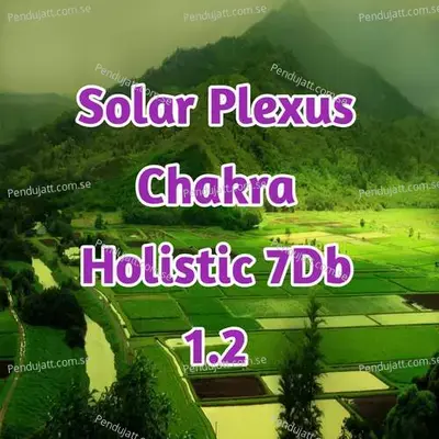 Solar Plexus Chakra Holistic 7Db 1 2 - Lakhan Hire album cover 