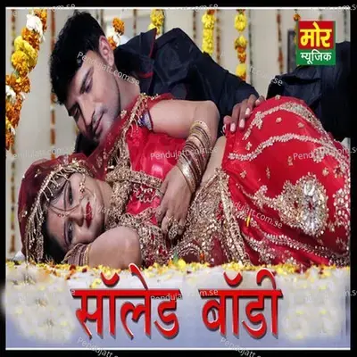 Solid Body - Raju Punjabi album cover 