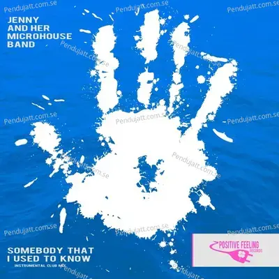 Somebody That I Used To Know - Jenny album cover 