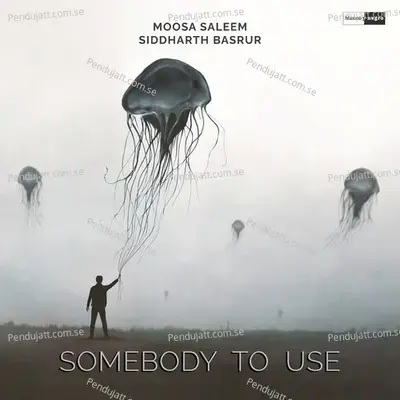 Somebody To Use - Moosa Saleem album cover 