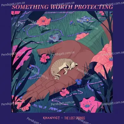 Something Worth Protecting - Asad Khan album cover 