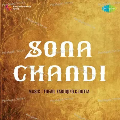 Chanda Re Chanda - Amir Bai album cover 