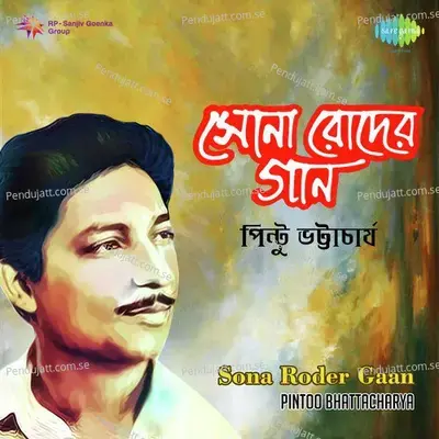 Haoway Dule Dule - Pintoo Bhattacharya album cover 