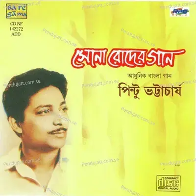 Kali O Kalome Lekha Nei - Pintoo Bhattacharya album cover 