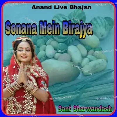 Sonana Mein Birajya - Sant Shrawandash album cover 