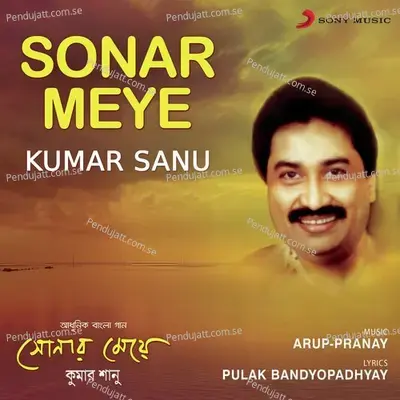 Koto Sohojei Je Por - Kumar Sanu album cover 