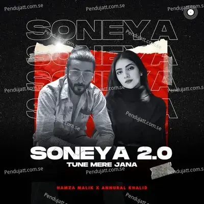 Soneya 2 0 - Hamza Malik album cover 