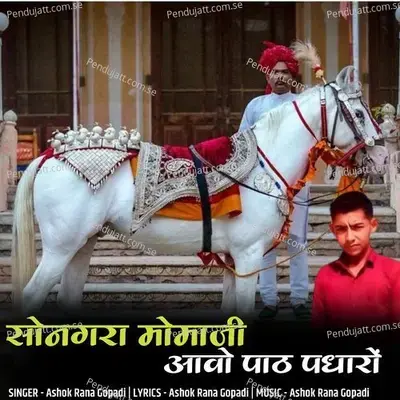 Songara Momaji Aavo Paath Padharo - Ashok Rana Gopadi album cover 