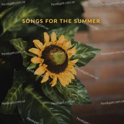 Songs For The Summer - Various Artists cover album