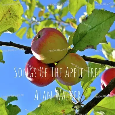 Songs Of The Apple Tree - Alan Walker album cover 