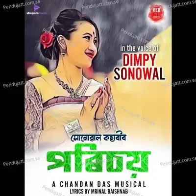 Sonowal Kacharir Parichay - Dimpy Sonowal album cover 