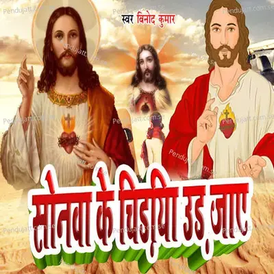Sonwa Ke Chidyi Ud Jaye - Ashis Babu