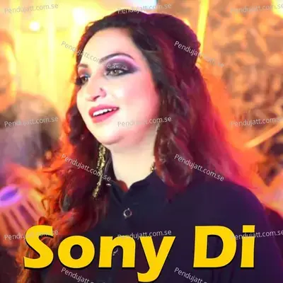 Sony Di - Afshan Zaibe album cover 