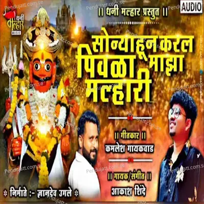 Sonyhun Kral Pivla Maza Mlhari - Akash Shinde album cover 