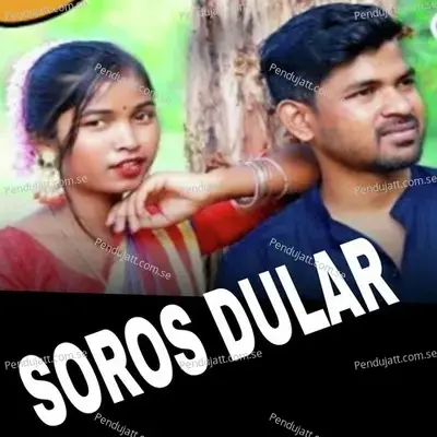 Soros Dular - Digan Layak album cover 