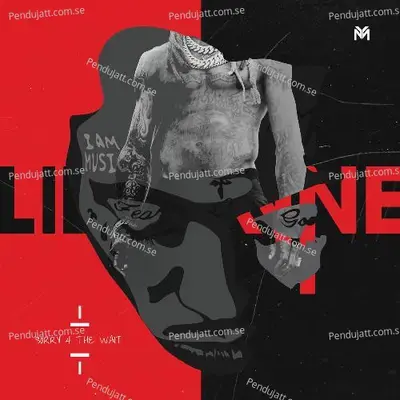 One Big Room - Lil Wayne album cover 