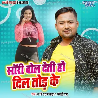 Sorry Bol Deti Ho Dil Tod Ke - Sanni Sargam Yadav album cover 