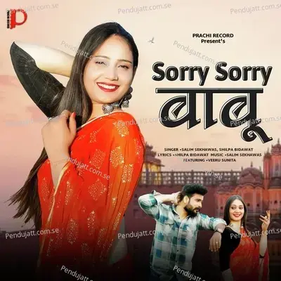 Sorry Sorry Babu - Salim Shekhawas album cover 