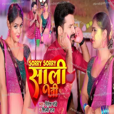 Sorry Sorry Sali Jee - Ritesh Pandey album cover 
