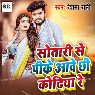 Sotari Pike Aaway Chi Kodhiya Ra - Reshma Rani album cover 