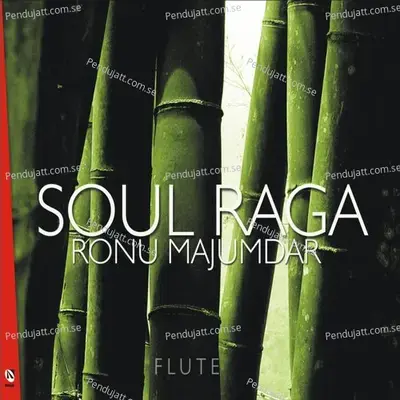 Soul Raga - Pandit Ronu Majumdar cover album