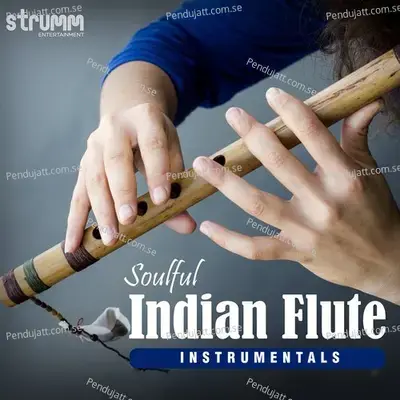 Kitne Bhi Tu Karle Sitam - Unwind Instrumental - Paras Nath album cover 