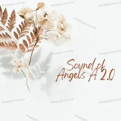 Sound Of Angels A 2 0 - Lakhan Hire album cover 