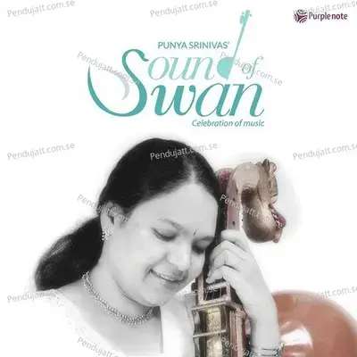 Namaste Veena - N. Selvam album cover 