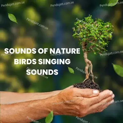 Sounds Of Nature Birds Singing Sounds - Lakhan Hire album cover 