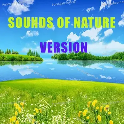 Sounds Of Nature Version - Lakhan Hire album cover 