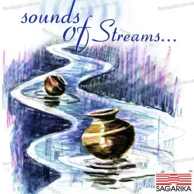 Sounds Of Streams - Shahid Parvez Khan album cover 