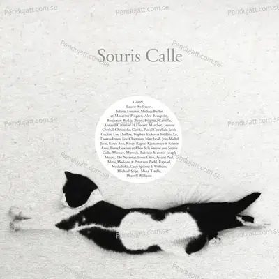 Les Sensations Manquantes - Sophie Calle album cover 