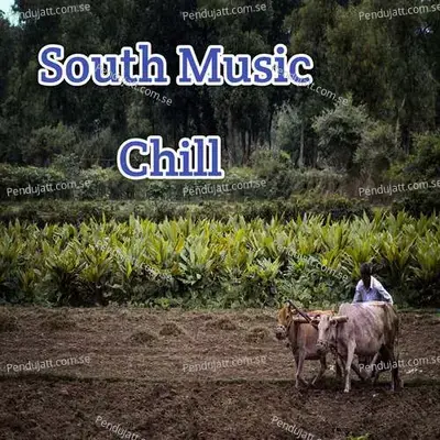 South Music Chill - Lakhan Hire album cover 